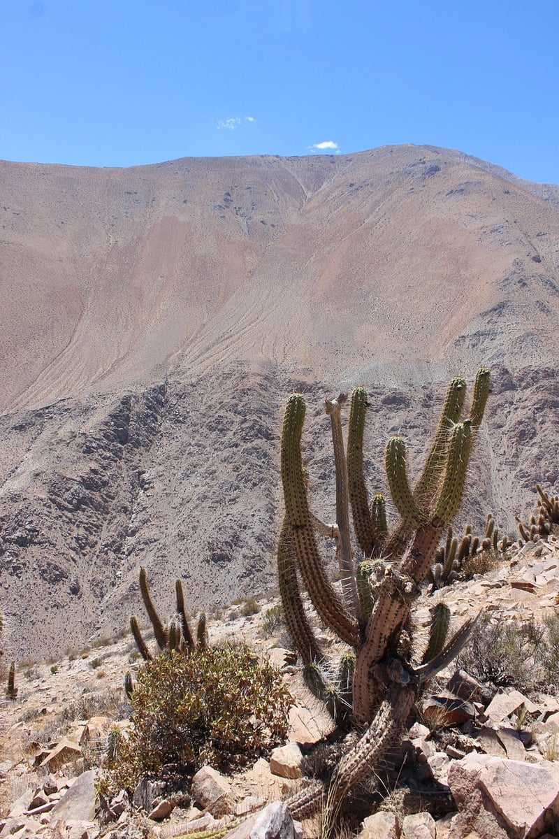 Elqui Domos, Chile Stargazing Retreat